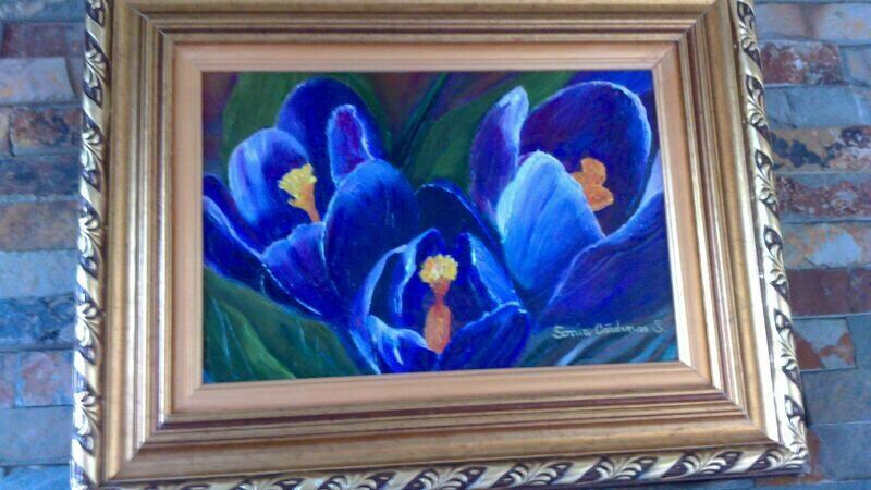 Donde la Noche Florece