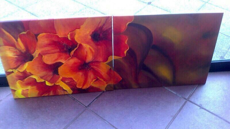 Corazón de Fuego, Alma de Sombra