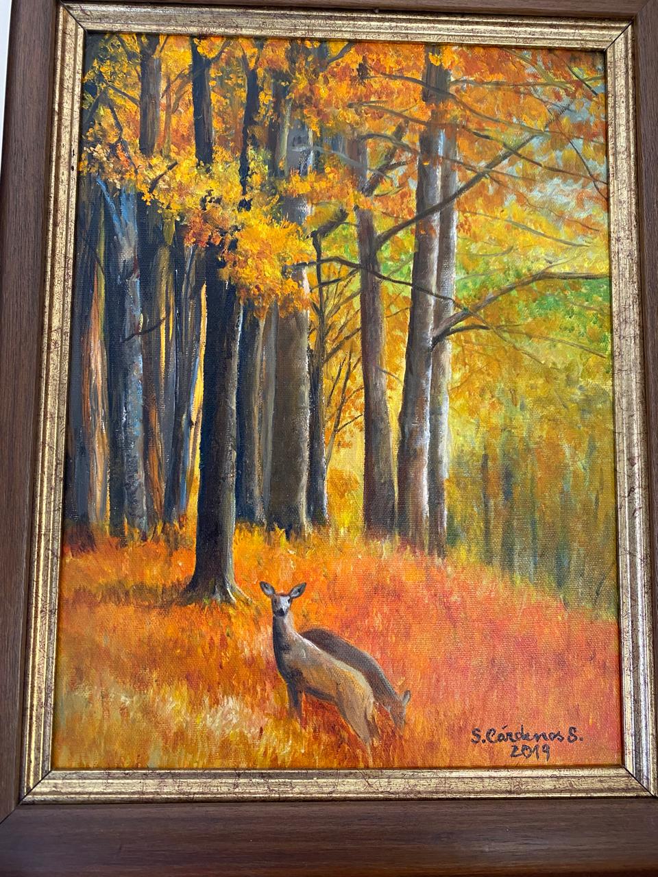 La Mirada del Bosque