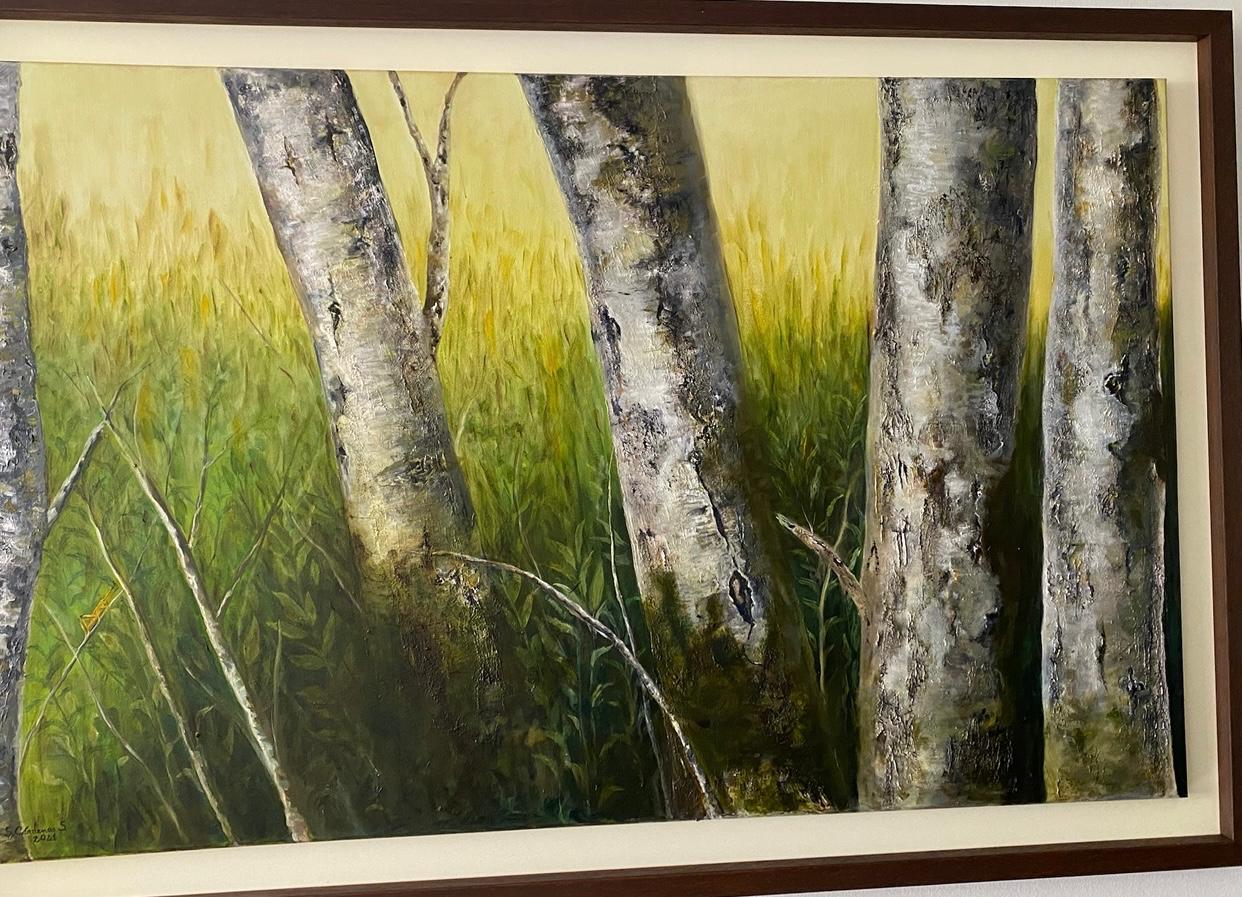 La Piel de los Árboles